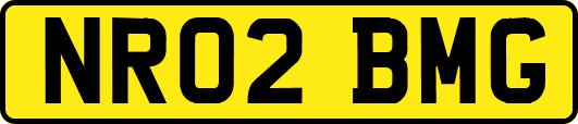 NR02BMG
