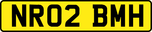 NR02BMH