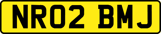 NR02BMJ