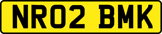 NR02BMK