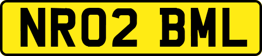 NR02BML