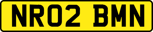 NR02BMN