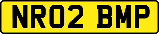 NR02BMP