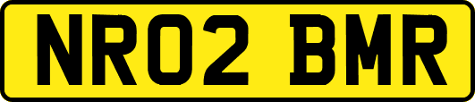 NR02BMR
