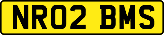 NR02BMS