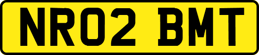 NR02BMT
