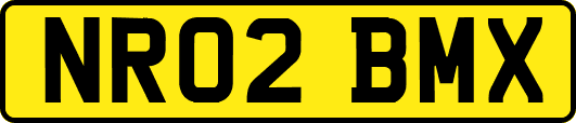 NR02BMX