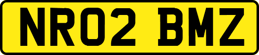 NR02BMZ