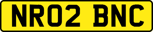 NR02BNC