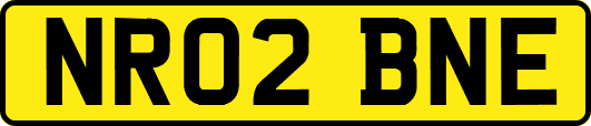 NR02BNE
