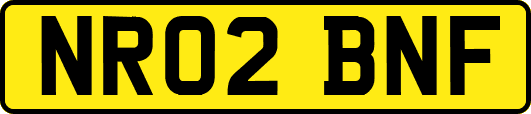 NR02BNF