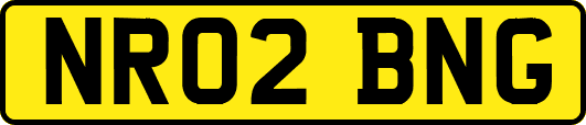 NR02BNG