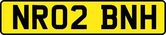 NR02BNH