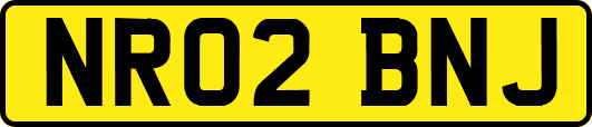 NR02BNJ