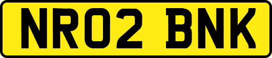 NR02BNK
