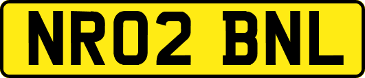 NR02BNL