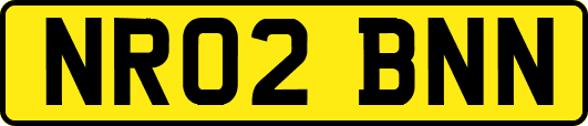 NR02BNN
