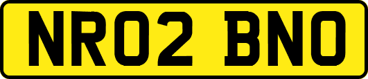NR02BNO