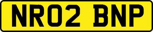 NR02BNP