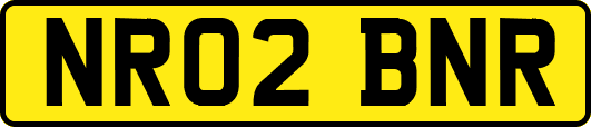 NR02BNR
