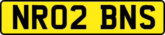 NR02BNS