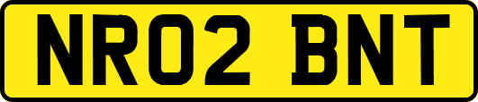 NR02BNT