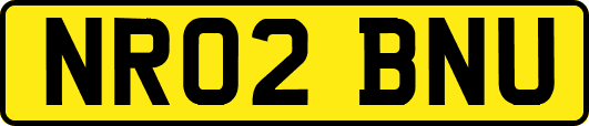 NR02BNU