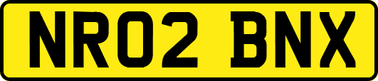 NR02BNX
