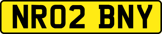 NR02BNY
