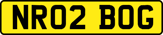NR02BOG
