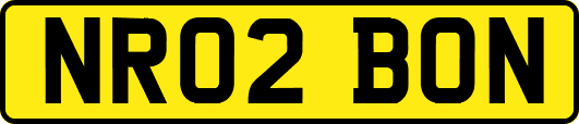 NR02BON