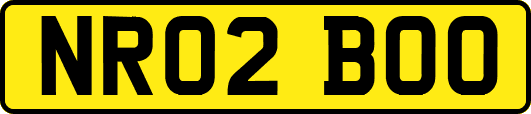NR02BOO