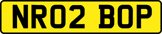 NR02BOP