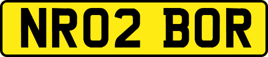NR02BOR