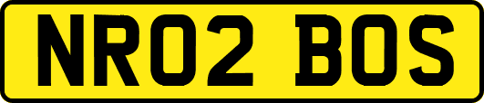 NR02BOS