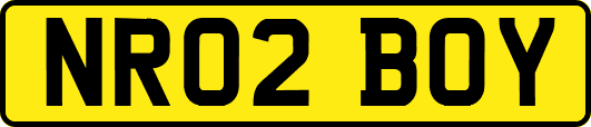 NR02BOY