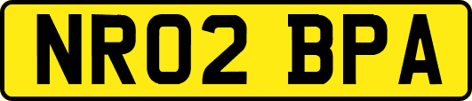 NR02BPA
