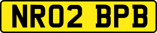 NR02BPB