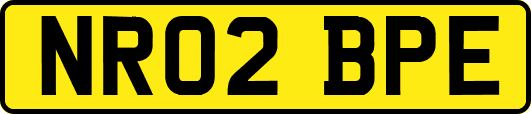 NR02BPE
