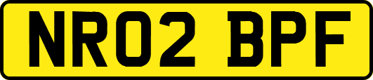 NR02BPF
