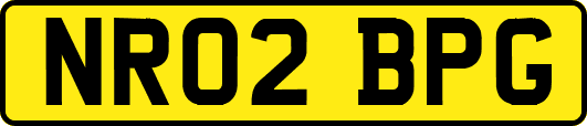 NR02BPG
