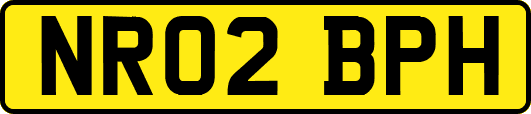 NR02BPH