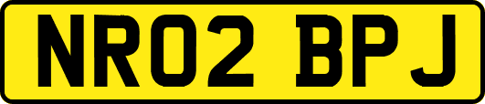 NR02BPJ