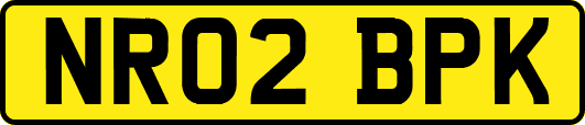 NR02BPK