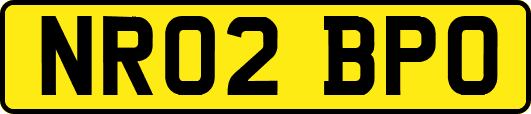 NR02BPO