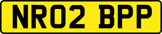 NR02BPP
