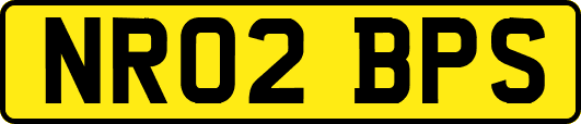 NR02BPS