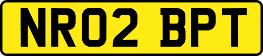 NR02BPT