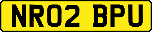 NR02BPU