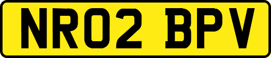 NR02BPV